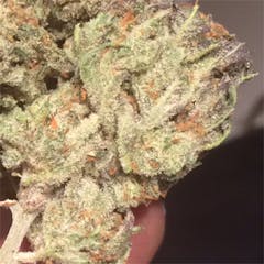 User uploaded image of Black Cherry Soda