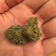 User uploaded image of Black Cherry Soda
