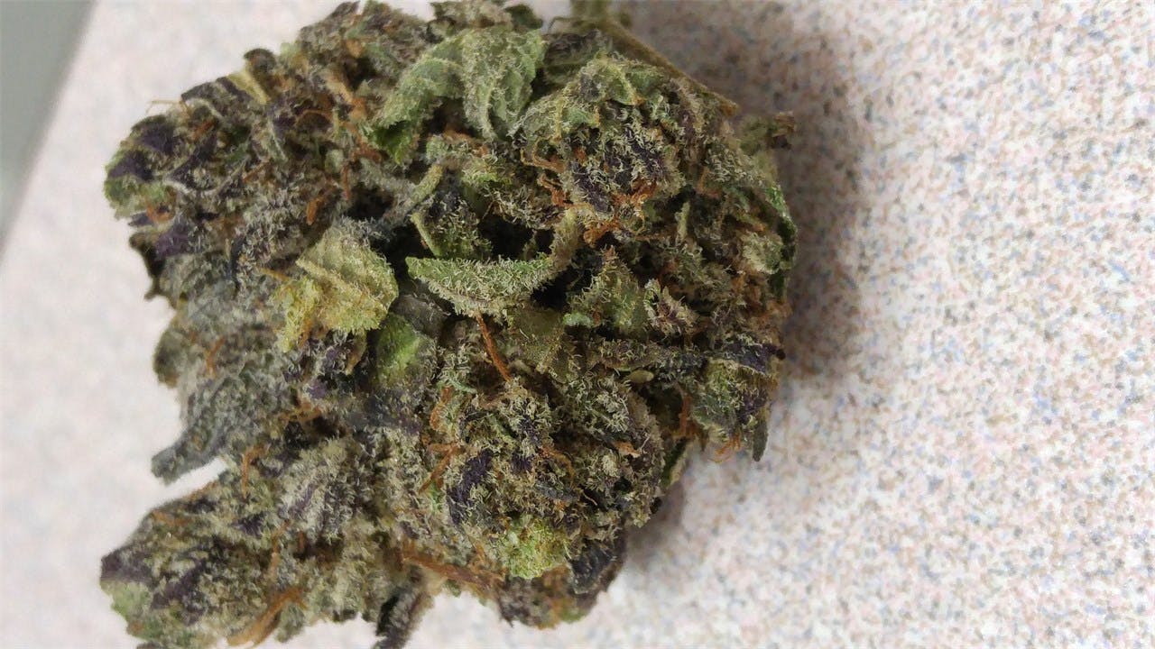 Black Cherry Soda Weed Strain Information Leafly