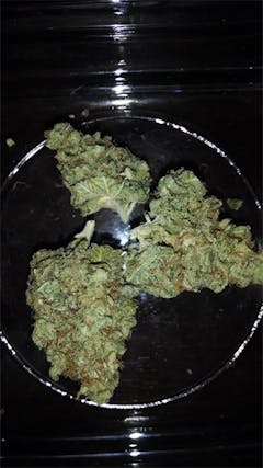 User uploaded image of Black Dahlia