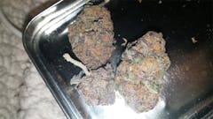 User uploaded image of Black Dahlia