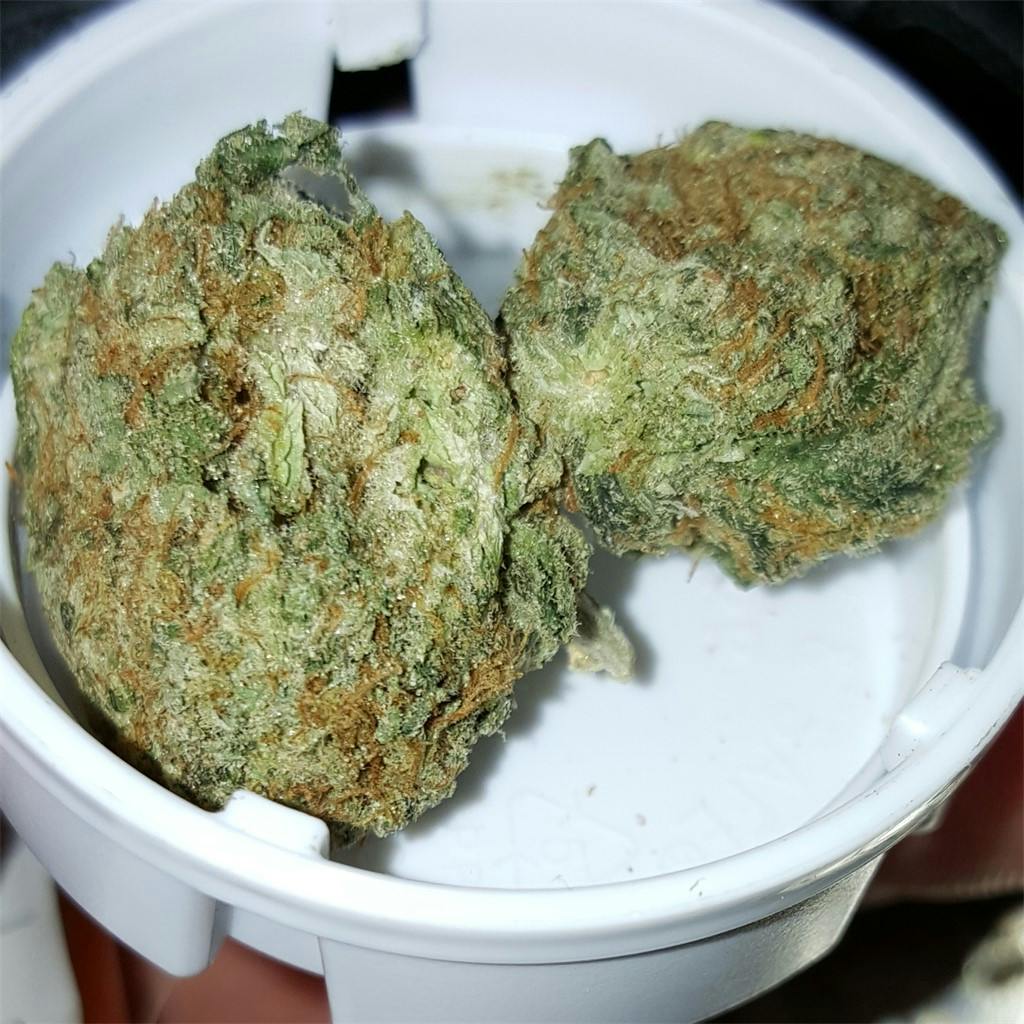 Photos of Black Diamond Weed Strain Buds Leafly