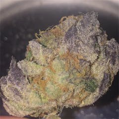 User uploaded image of Black Diesel