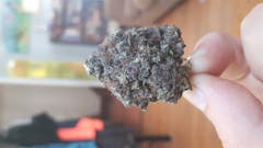 User uploaded image of Black Diesel