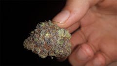 User uploaded image of Black Diesel
