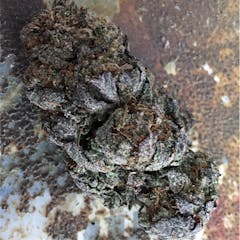 User uploaded image of Black Domina