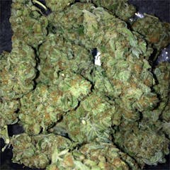 User uploaded image of Black Domina