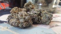 User uploaded image of Black Domina