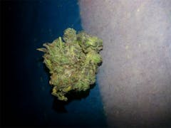 User uploaded image of Black Domina
