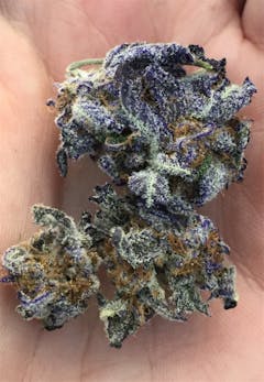 User uploaded image of Black Haze