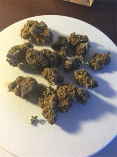 User uploaded image of Black Haze