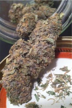 User uploaded image of Black Ice