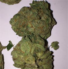 User uploaded image of Black Ice