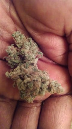 User uploaded image of Black Ice