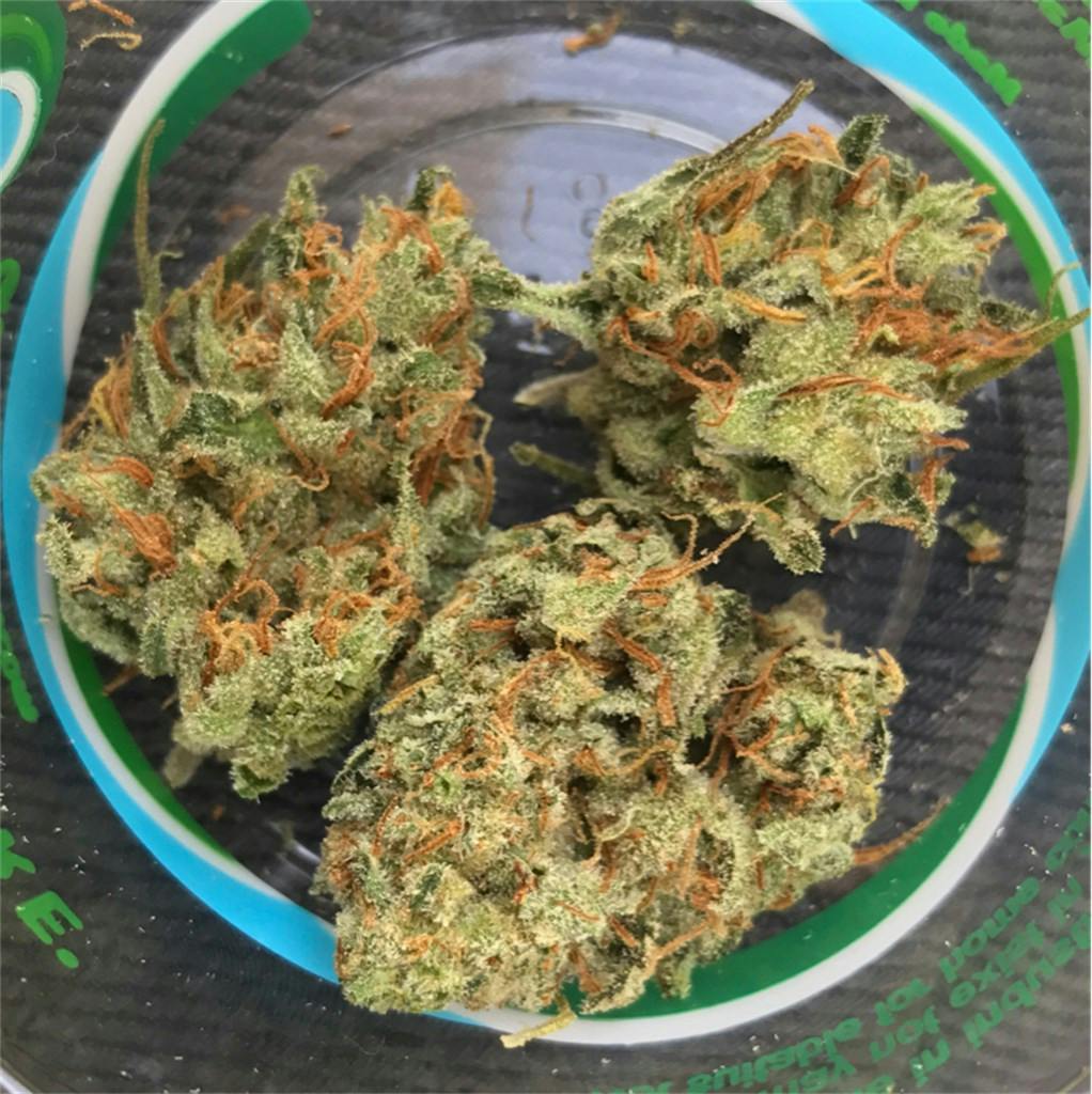 Photos of Black Jack Weed Strain Buds Leafly