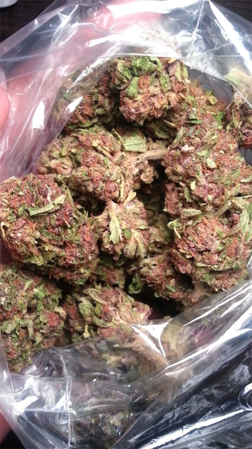 Photos of Black Jack Weed Strain Buds | Leafly