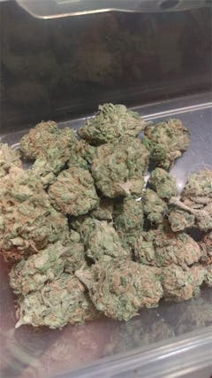 User uploaded image of Black Jack