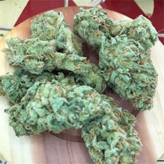 User uploaded image of Black Jack