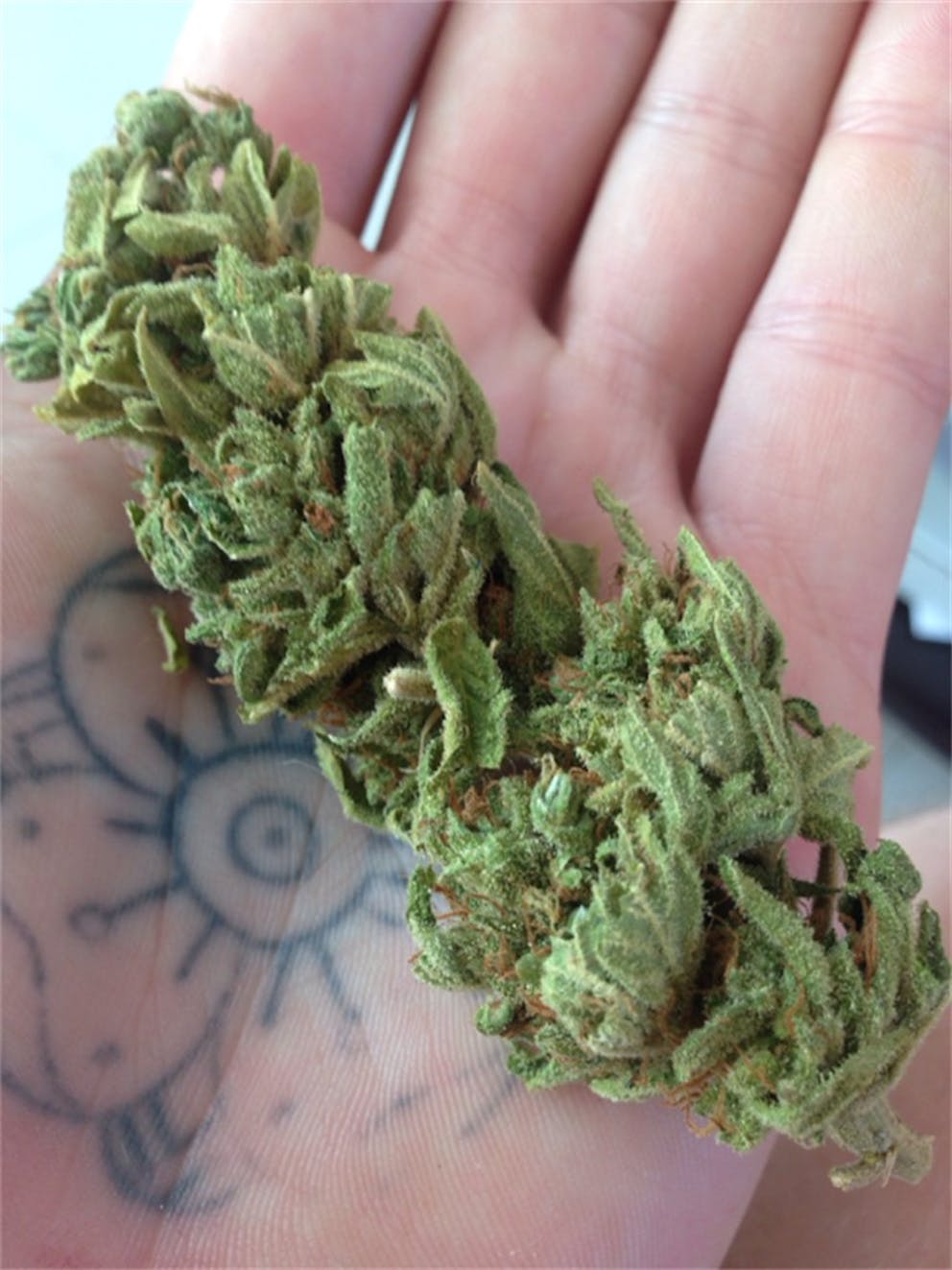 Photos of Black Jack Weed Strain Buds | Leafly