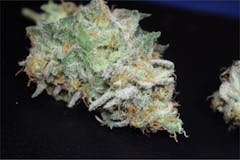 User uploaded image of Black Jack