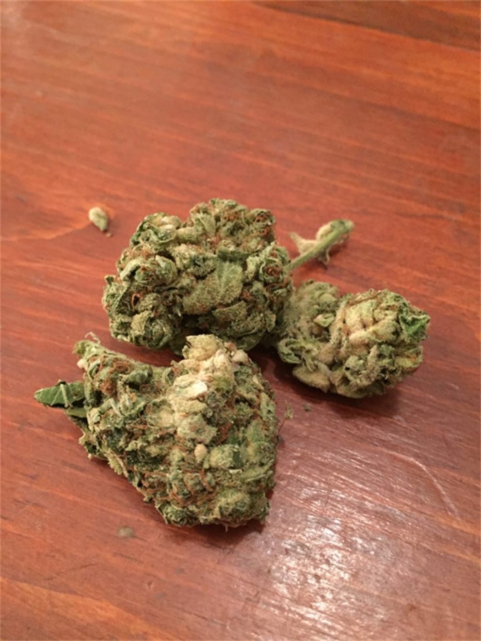 Photos of Black Jack Weed Strain Buds Leafly