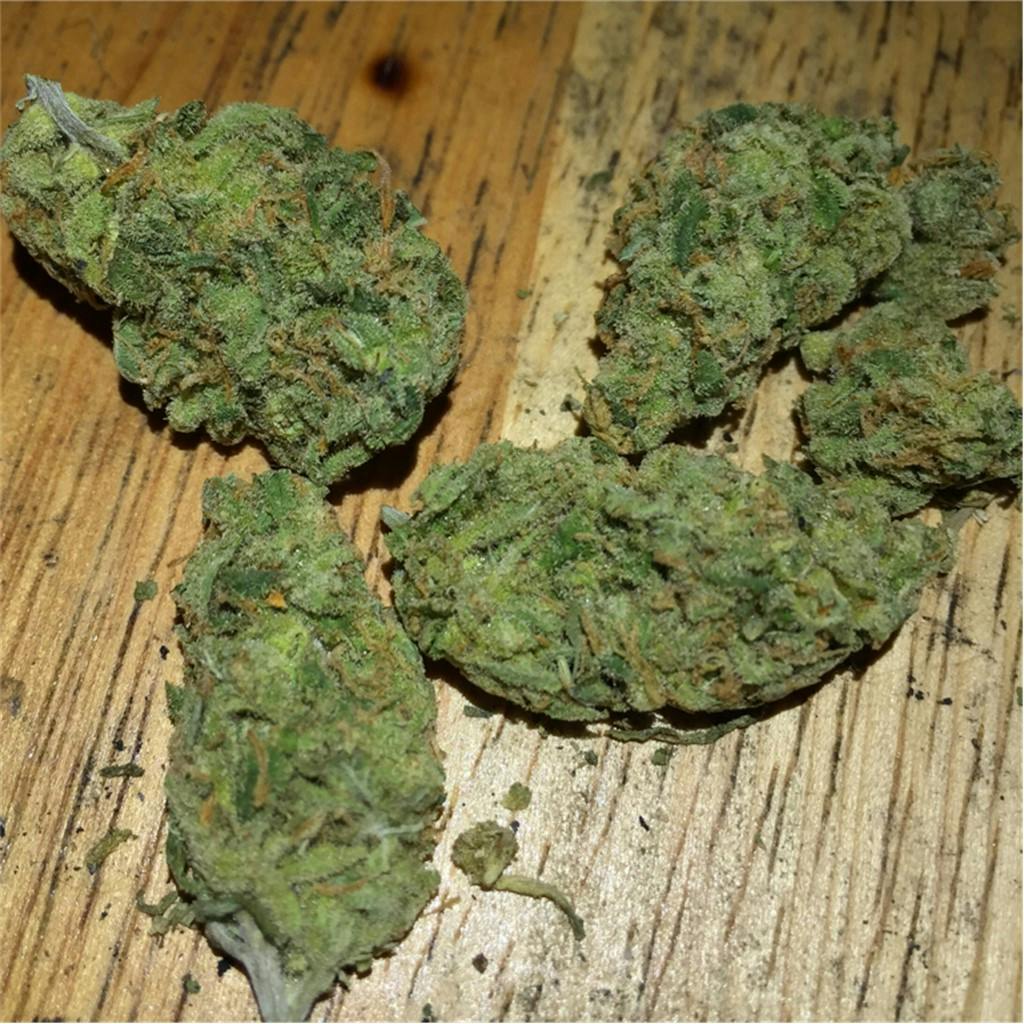 Photos of Black Jack Weed Strain Buds | Leafly