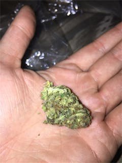 User uploaded image of Black Label Kush