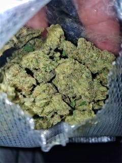 User uploaded image of Black Lime