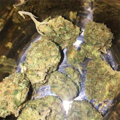 User uploaded image of Black Lime