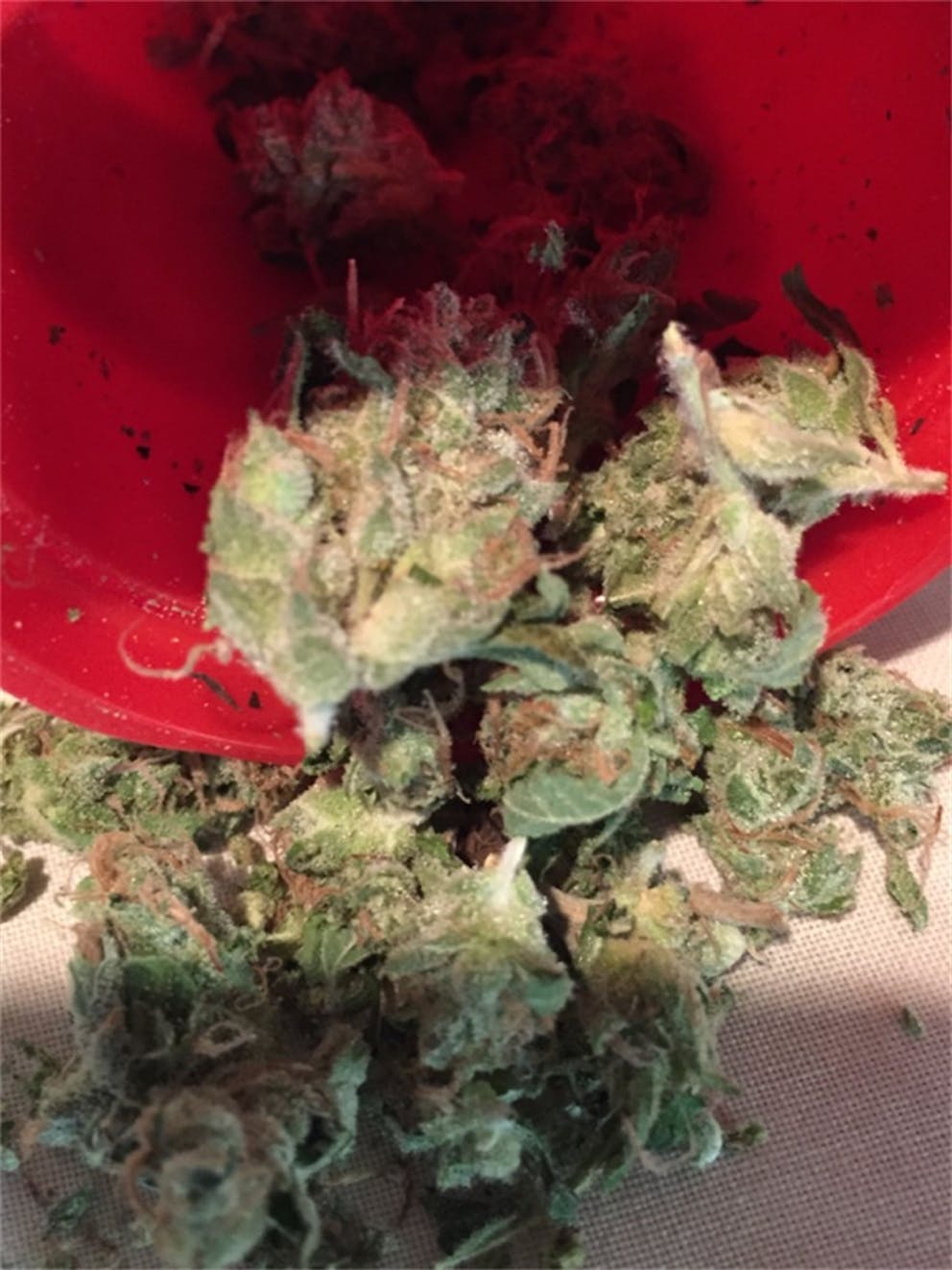 Photos of Black Lime Weed Strain Buds Leafly