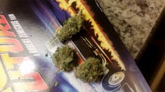 User uploaded image of Black Lime