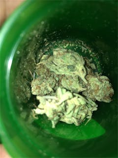 User uploaded image of Black Lime