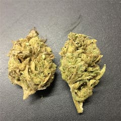 User uploaded image of Black Lime