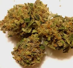 User uploaded image of Black Magic Kush