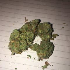 User uploaded image of Black Mamba