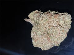 User uploaded image of Black Mamba