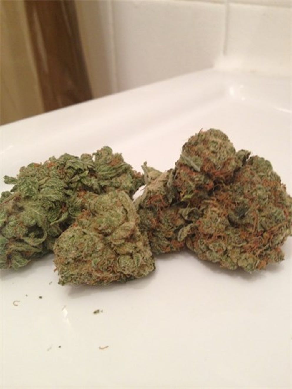 Photos of Black Tuna Weed Strain Buds Leafly