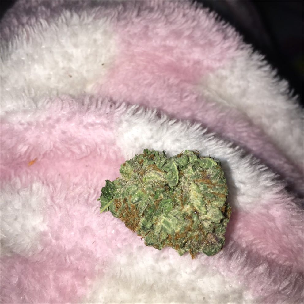 Photos of Black Tuna Weed Strain Buds Leafly