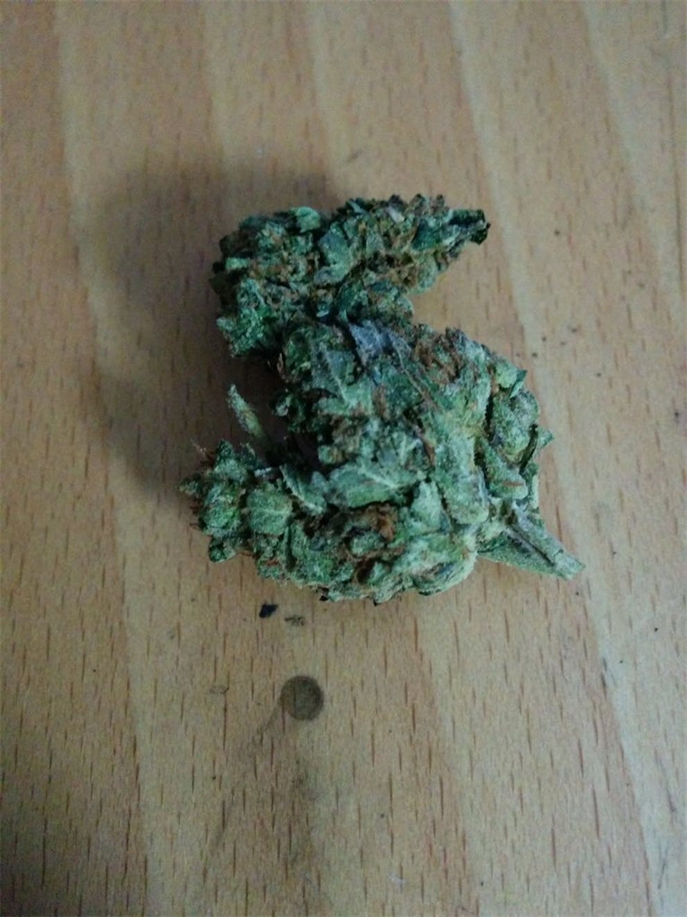 Photos of Black Tuna Weed Strain Buds Leafly