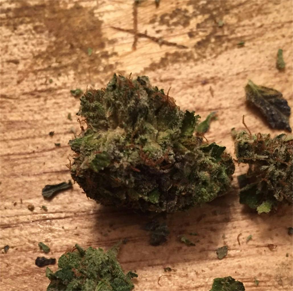 Black Tuna aka Tuna Black Weed Strain Information Leafly
