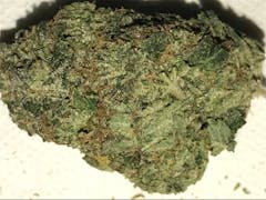 User uploaded image of Black Tuna