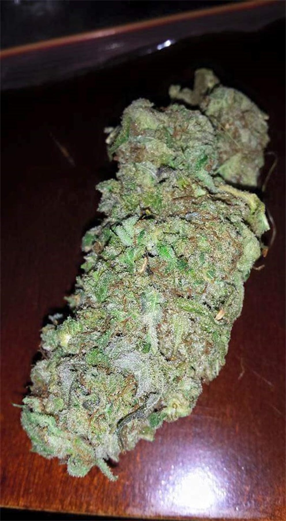 Photos of Black Tuna Weed Strain Buds Leafly