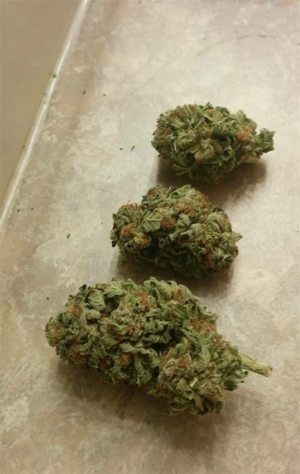Photos of Black Tuna Weed Strain Buds Leafly