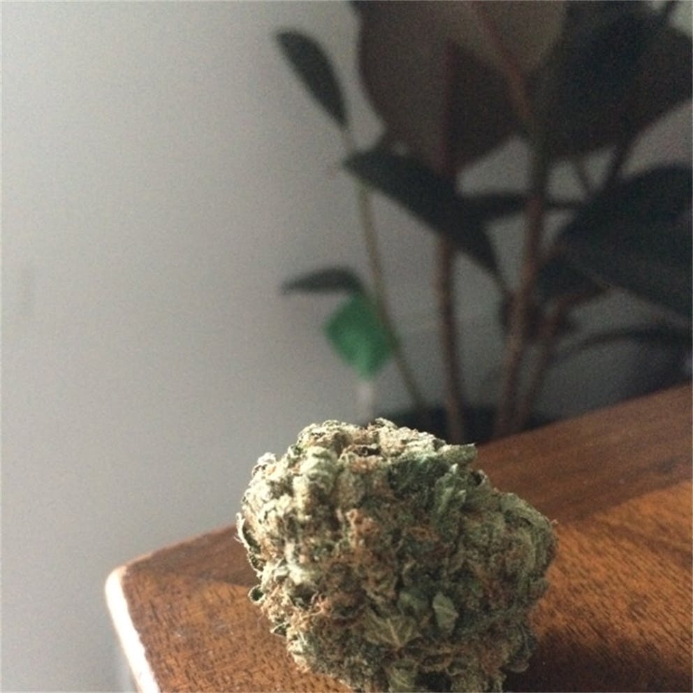 Photos of Black Tuna Weed Strain Buds Leafly