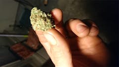 User uploaded image of Black Tuna