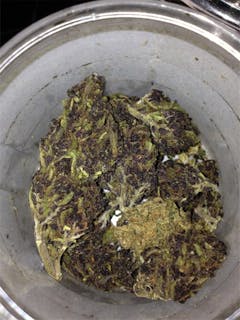 User uploaded image of Black Velvet