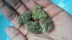 User uploaded image of Black Velvet