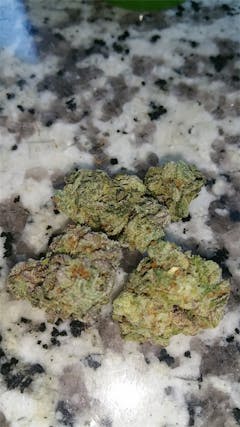 User uploaded image of Black Velvet