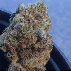 User uploaded image of Black Widow