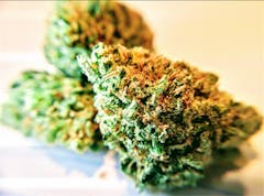 User uploaded image of Black Widow